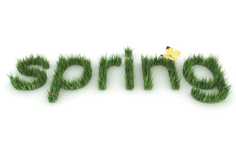 Spring